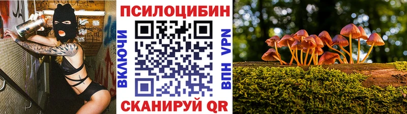 купить наркоту Кущёвская Галлюциногенные грибы Psilocybe