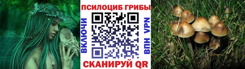 Галлюциногенные грибы ЛСД Кущёвская